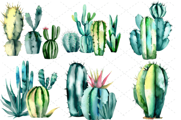 Download 6 Watercolor Cactus PNG Clipart Bundle - Png Collection