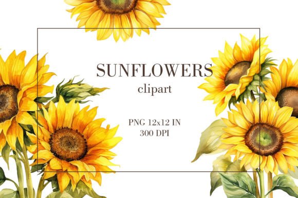 Download Watercolor Sunflowers Clipart PNG - Png Collection