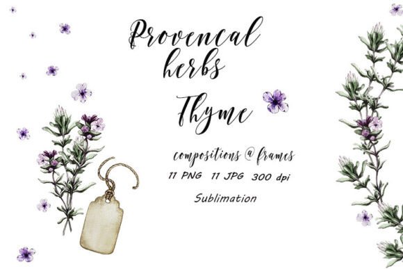 Download Thyme Provence Herbs Sublimation JPG PNG - Png Collection