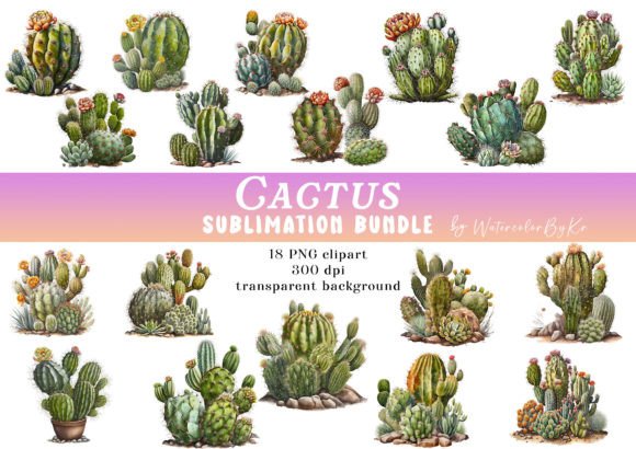 Download Watercolor Cactus Bundle PNG Clipart - Png Collection